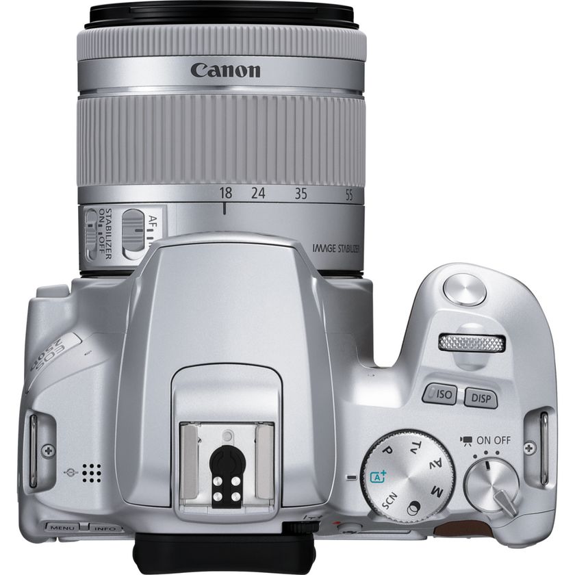 Buy Canon EOS 250D Body, Silver and EF-S 18-55mm f/4-5.6 IS STM Lens in ...