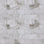 Veneto Bianco Porcelain Tile - 4 x 8 - 100559152 | Floor and Decor