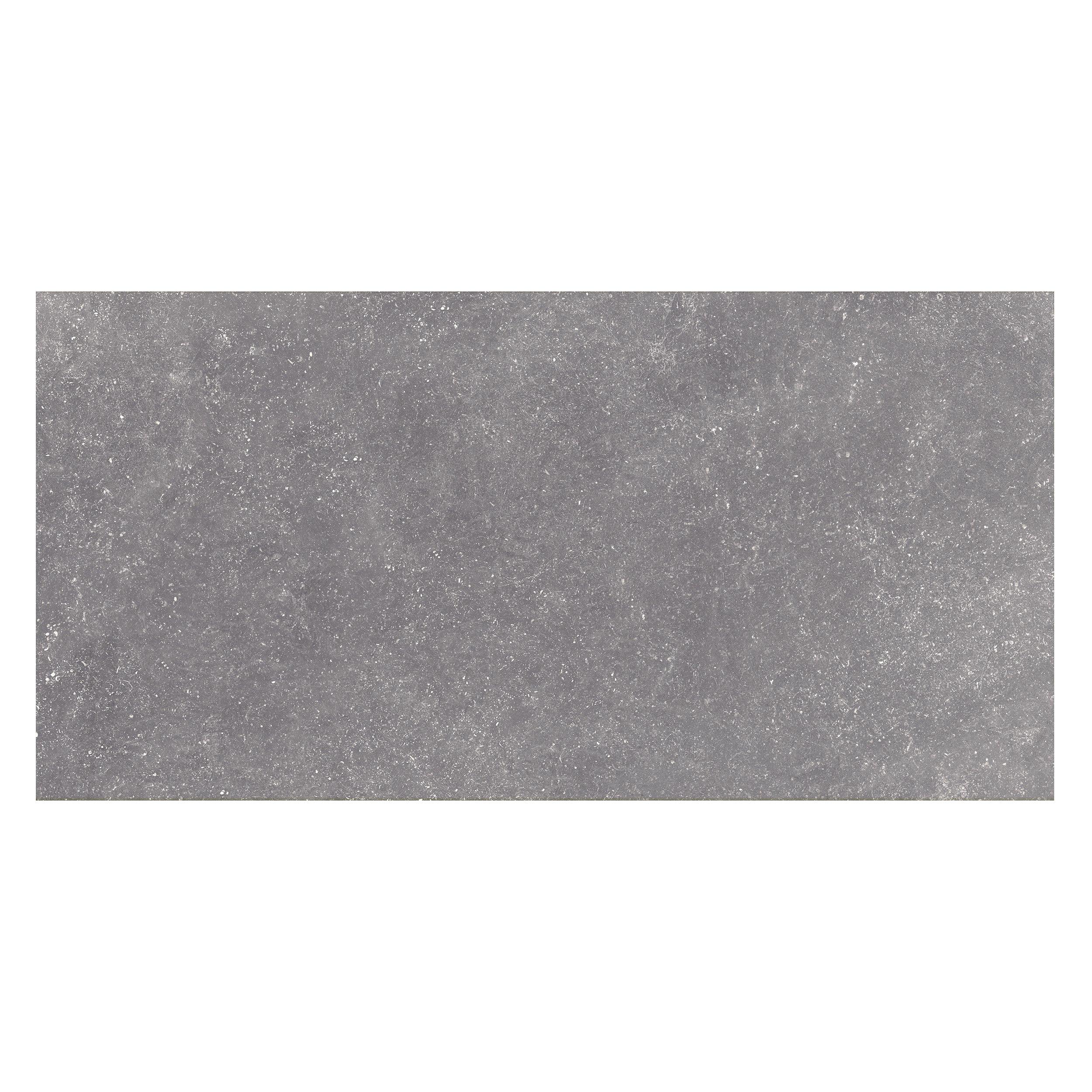 Everest Grey Matte Porcelain Tile 24 X 48 100593565 Floor And Decor